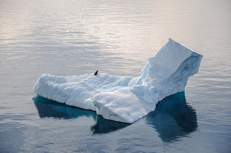 Arctic Adventure